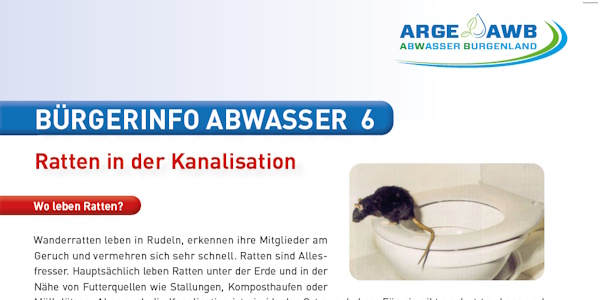 Read more about the article Bürgerinfo –  Ratten in der Kanalisation